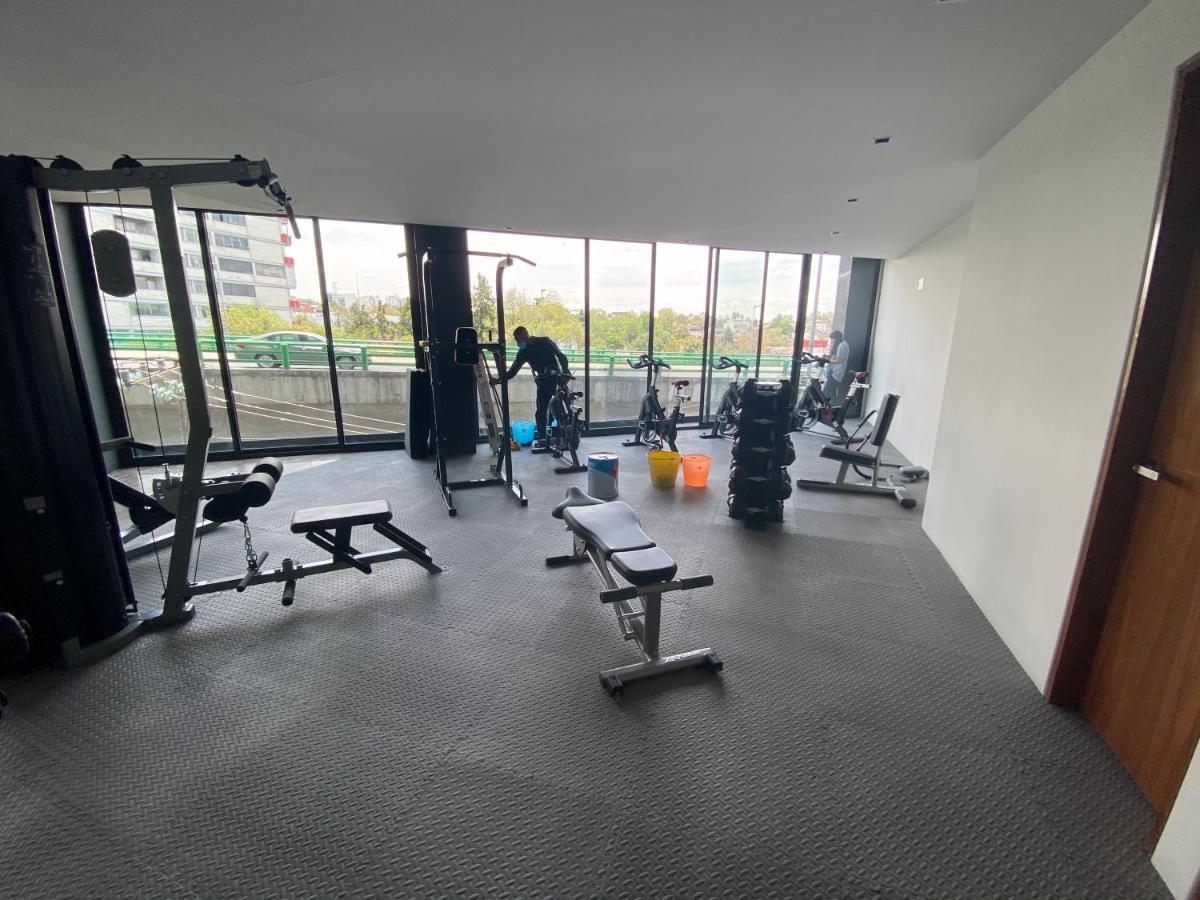 Departamento Ejecutivos En El Sur De La Cdmx * Mexico City